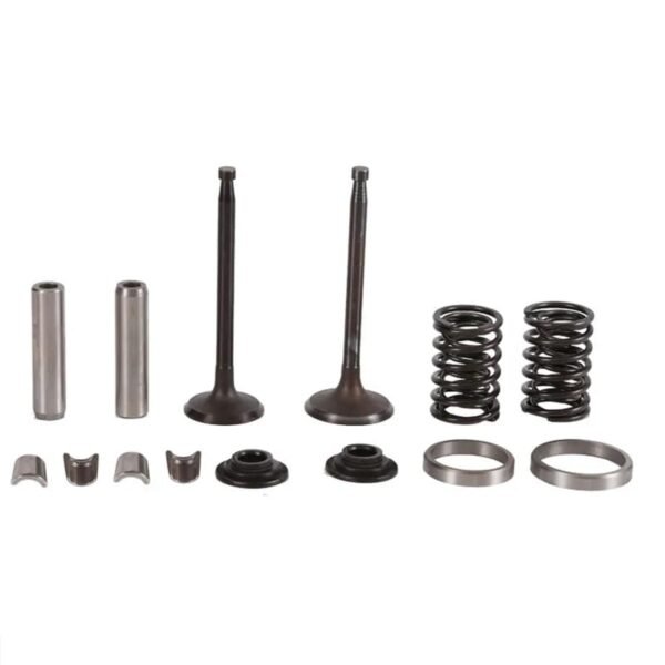 Valve Kit S195